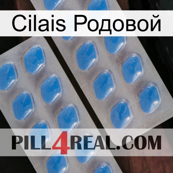 Cilais Родовой 23.jpg